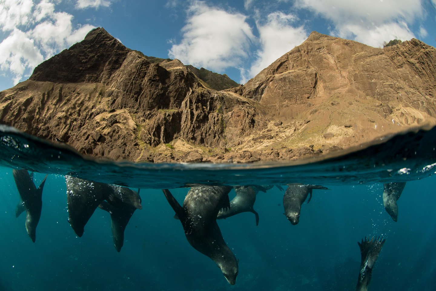 Experiencia de buceo en Robinson Crusoe