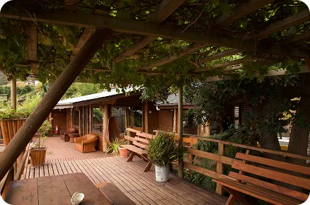 Discover our facilities